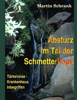E-Book (epub) Absturz im Tal der Schmetterlinge von Martin Schrank