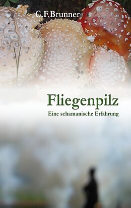 Kartonierter Einband Fliegenpilz von Christian Friedrich Brunner