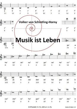 Kartonierter Einband Musik ist Leben von Volker von Schintling-Horny