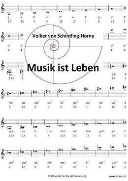 Fester Einband Musik ist Leben von Volker von Schintling-Horny