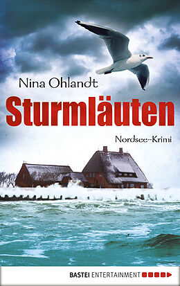 E-Book (epub) Sturmläuten von Nina Ohlandt