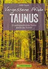Kartonierter Einband (Kt) Vergessene Pfade Taunus von Antje Bayer