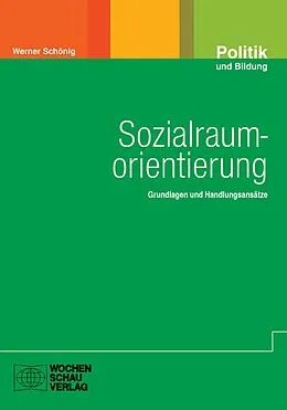 E-Book (pdf) Sozialraumorientierung von Werner Schönig