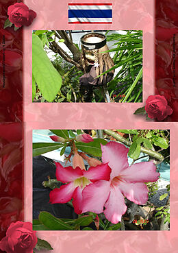 E-Book (epub) Thai Blumen und Pfanzen Photobuch von Heinz Duthel von Heinz Duthel