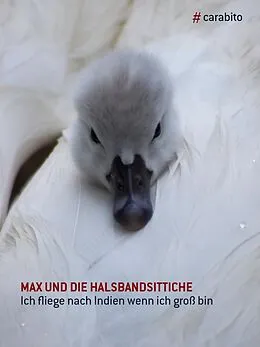 E-Book (epub) Max und die Halsbandsittiche von Matthias Hoelkeskamp