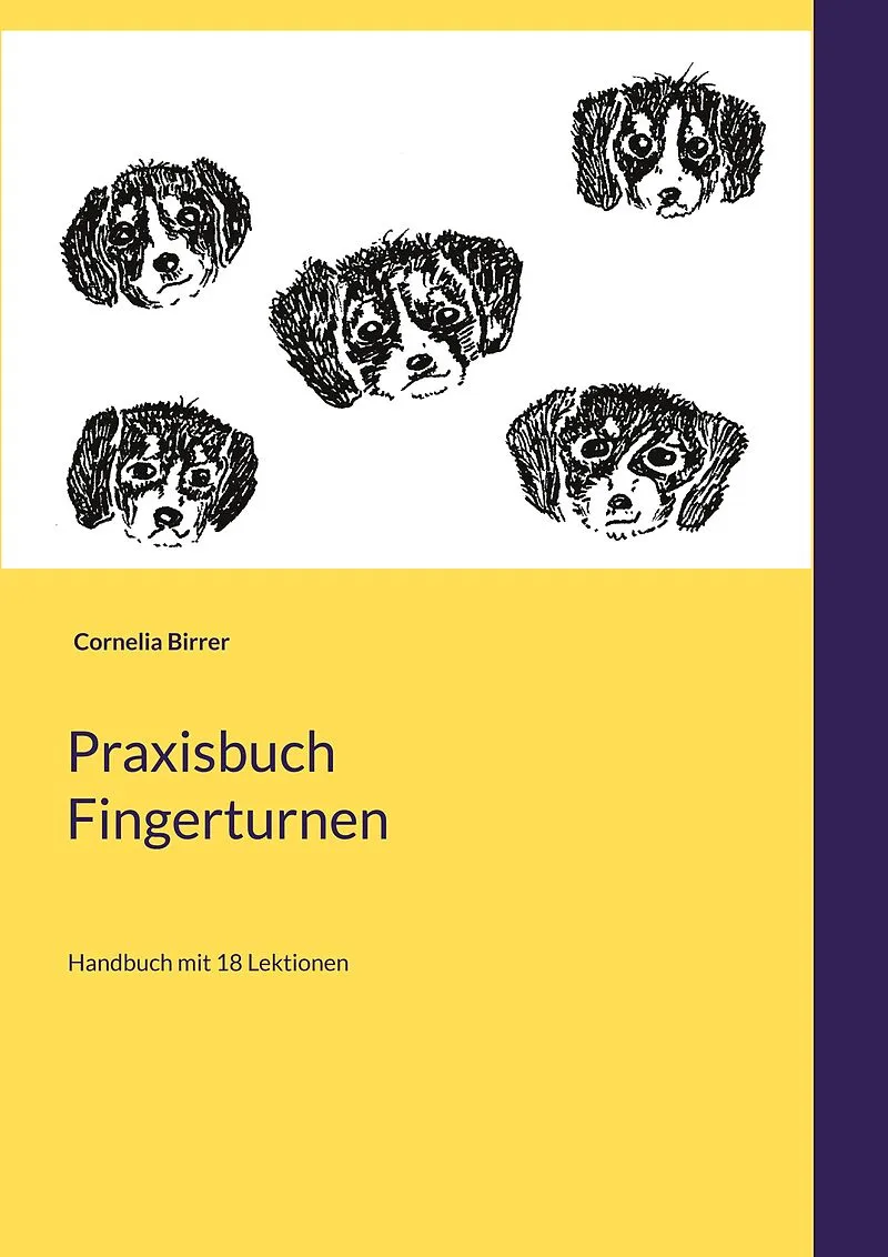 Praxisbuch Fingerturnen