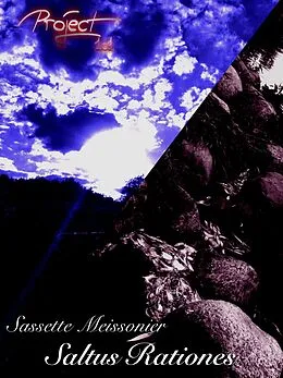 E-Book (epub) Saltus Rationes von Sassette Meissonier