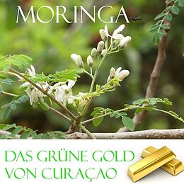 Kartonierter Einband Das grüne Gold von Curacao von Elke Verheugen