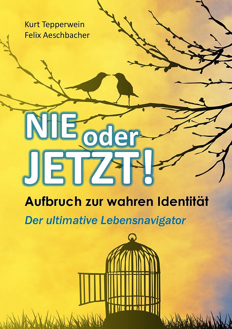 Nie oder Jetzt! Aufbruch zur wahren Identität