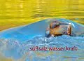E-Book (epub) süßsalz wasser-kraft von Walter Tockner, Anna Philomena Stocker