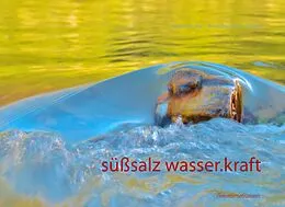 E-Book (epub) süßsalz wasser-kraft von Walter Tockner, Anna Philomena Stocker