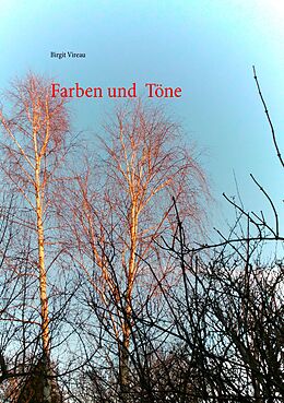 Kartonierter Einband Farben und Töne von Birgit Vireau