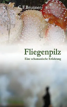 E-Book (epub) Fliegenpilz von Christian Friedrich Brunner