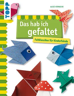 E-Book (epub) Das hab ich gefaltet von Alice Hörnecke