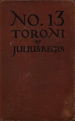 E-Book (epub) No. 13 Toroni von Julius Regis