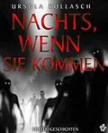 E-Book (epub) Nachts, wenn sie kommen von Ursula Kollasch