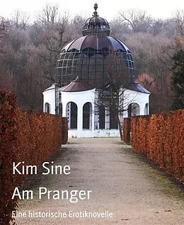 E-Book (epub) Am Pranger von Kim Sine