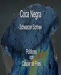 E-Book (epub) Coca Negra von Caspar de Fries