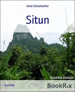 E-Book (epub) Situn von Irene Schumacher