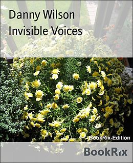 E-Book (epub) Invisible Voices von Danny Wilson