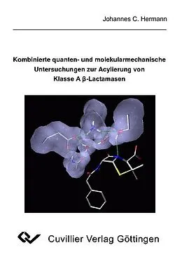 E-Book (pdf) Kombinierte quanten- und molekularmechanische Untersuchungen zur Acylierung von Klasse Aß-Lactamasen von Johannes C. Hermann