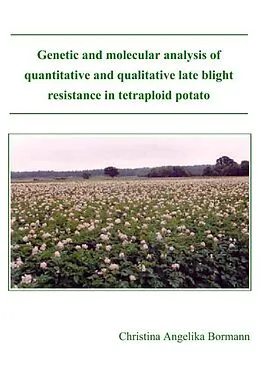 E-Book (pdf) Genetic and molecular analysis of quantitative and qualitative late blight resistance in tetraploid potato von Christina A. Bormann