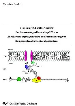 E-Book (pdf) Molekulare Charakterisierung des linearen mega-Plasmides pBD2 aus Rhodococcus erythropolis BD2 und Identifizierung von Komponenten des Konjugationssystems von Christiane Stecker