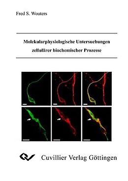 E-Book (pdf) Molekularphysiologische Untersuchungen zellulärer biochemischer Prozesse von Fred S. Wouters