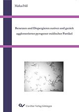 E-Book (pdf) Benetzen und Dispergieren nativer und gezielt agglomerierter pyrogener oxidischer Partikel von Markus Pohl