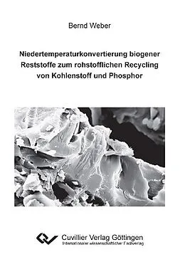 PDF Niedertemperaturkonvertierung biogener Reststoffe zum rohstofflichen Recycling von Kohlenstoff und Phosphor von Bernd Weber