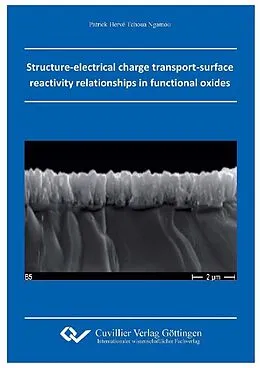 E-Book (pdf) Structure-electrical charge transport-surface reactivity relationships in functional oxides von Patrick Hervé Tchoua Ngamou