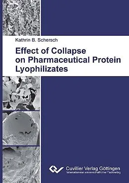 E-Book (pdf) Effect of Collapse on Pharmaceutical Protein Lyophilizates von Kathrin Brigitte Schersch