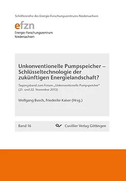 E-Book (pdf) Unkonventionelle Pumpspeicher  Schlüsseltechnologie der zukünftigen Energielandschaft? von Friederike Kaiser et. al