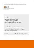 E-Book (pdf) Netzauslastung und Aufnahmekapazität für Erneuerbaren Strom von Hans-Peter Beck
