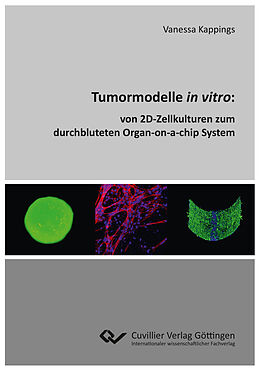 E-Book (pdf) Tumormodelle in vitro von Vanessa Kappings