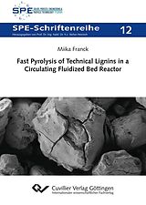 eBook (pdf) Fast Pyrolysis of Technical Lignins in a Circulating Fluidized Bed Reactor de Miika Franck