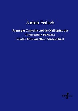 Kartonierter Einband Fauna der Gaskohle und der Kalksteine der Performation Böhmens von Anton Fritsch