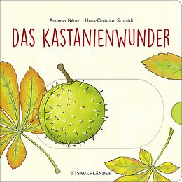 Pappband Das Kastanienwunder von Hans-Christian Schmidt