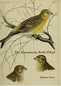 E-Book (epub) Die Kanarische Bolle-Fibel von Günter Voss