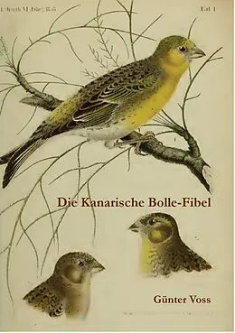 E-Book (epub) Die Kanarische Bolle-Fibel von Günter Voss