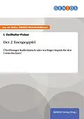 E-Book (pdf) Der 2. Energiegipfel von I. Zeilhofer-Ficker