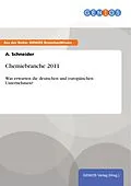 E-Book (pdf) Chemiebranche 2011 von A. Schneider