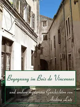 E-Book (epub) Begegnung im Bois de Vincennes von Andrea Lutz