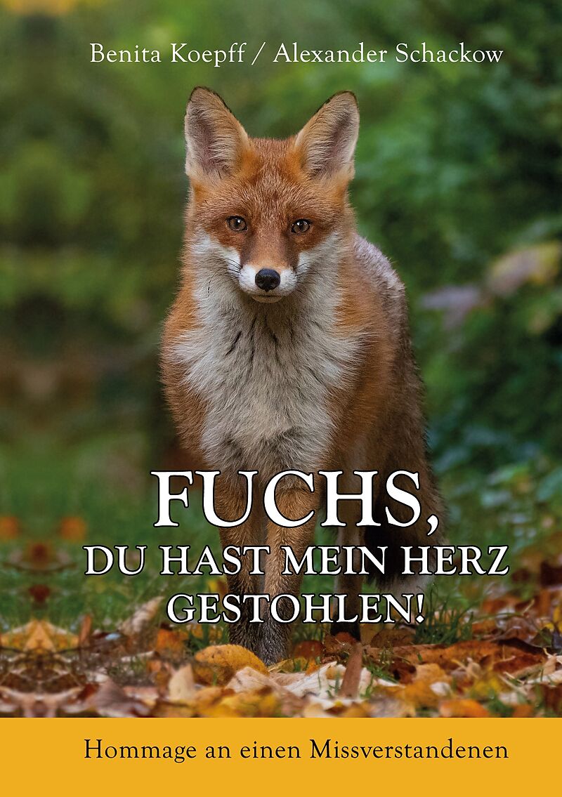 Fuchs, du hast mein Herz gestohlen!