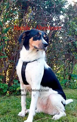 E-Book (epub) Hunde - Abenteuer von C. M. Groß