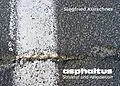 E-Book (epub) asphaltus - Struktur und Assoziation von Siegfried Kürschner
