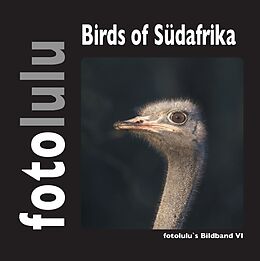 Fester Einband Birds of Südafrika von fotolulu