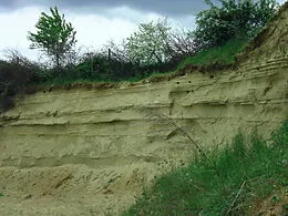 E-Book (epub) Einige ausgesuchte Mineralien, Gesteine und Fossilien aus Süddeutschland von Anton Luible