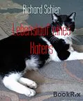 E-Book (epub) Lebenslauf eines Katers von Richard Schier