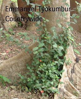 eBook (epub) Countrywide de Emmanuel Tyokumbur